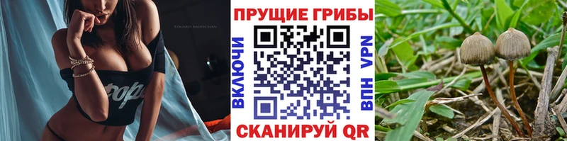 Галлюциногенные грибы прущие грибы  купить   Нерчинск 